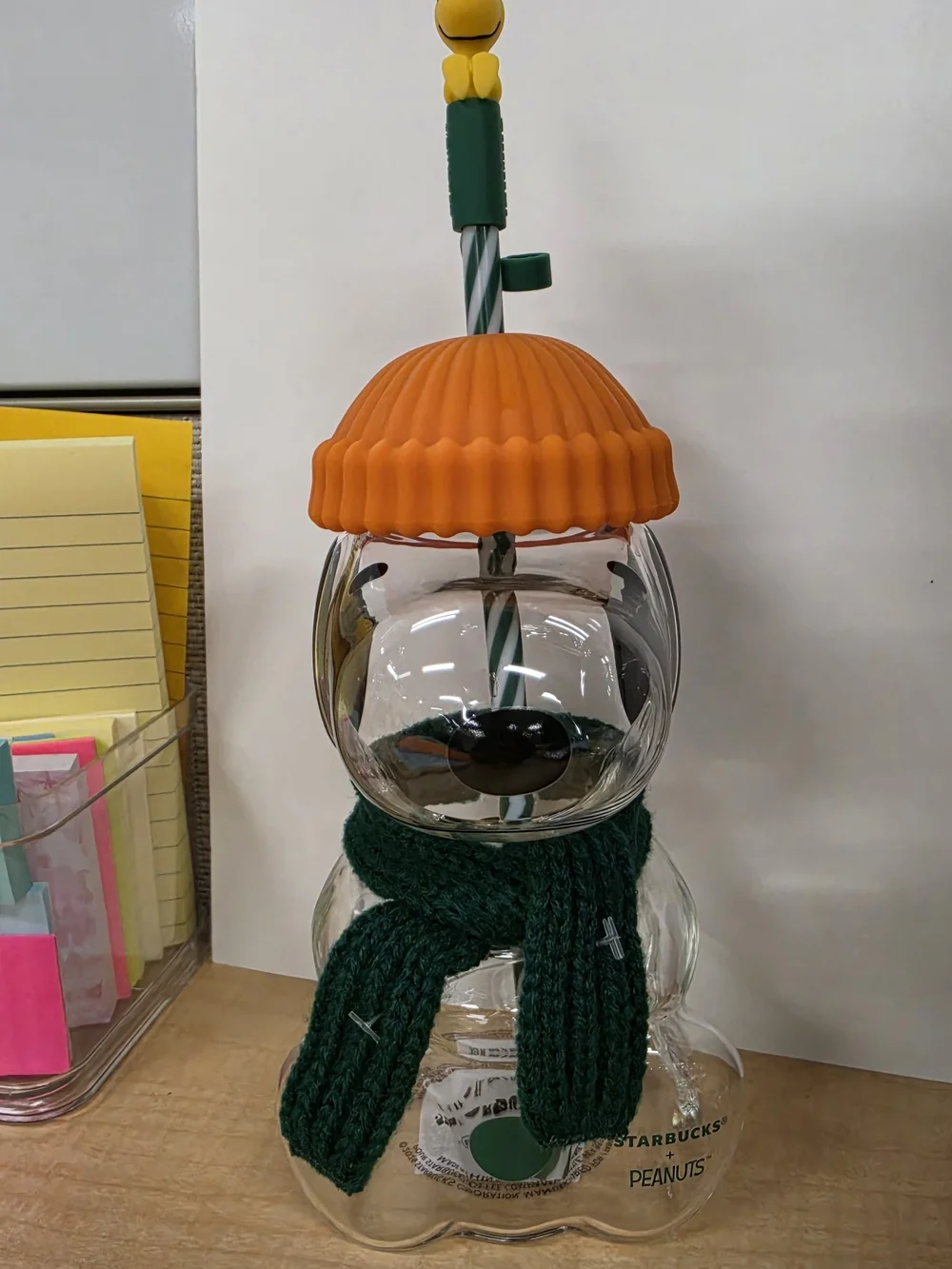 Starbucks Snoopy Glass Tumbler with Orange Lid and Green Scarf